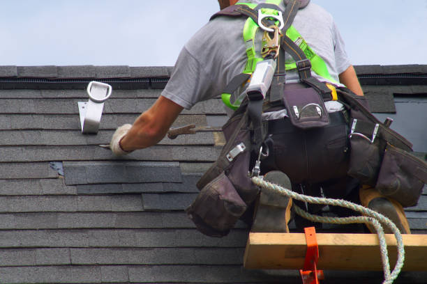 Best Local Roofing Companies  in Martin, SD