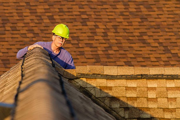 Best Roof Restoration Services  in Martin, SD