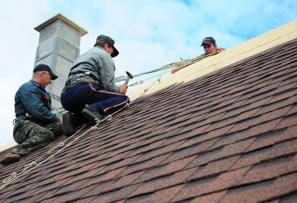 Best Roof Leak Repair  in Martin, SD