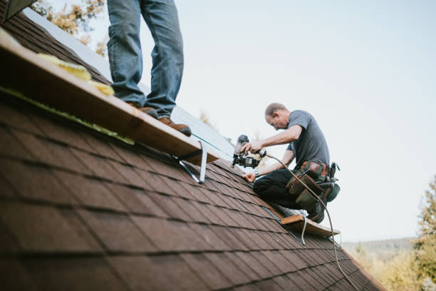 Best Flat Roof Repair Services  in Martin, SD
